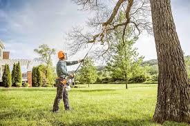 Best Tree Trimming and Pruning  in University Center, VA