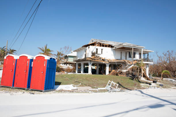 Reliable University Center, VA Tree Removal Solutions